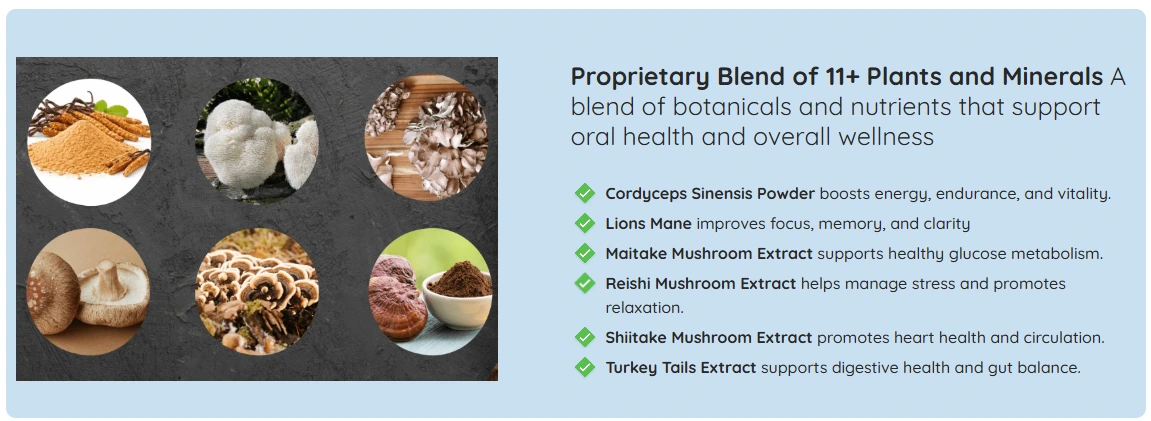 Mindoxa Powerful Ingredients List